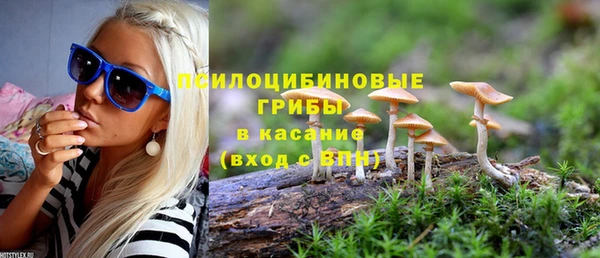 бутират Белокуриха