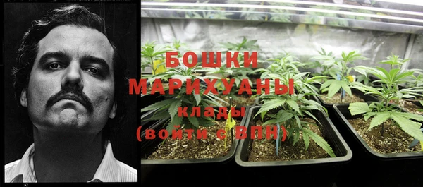 бутират Белокуриха