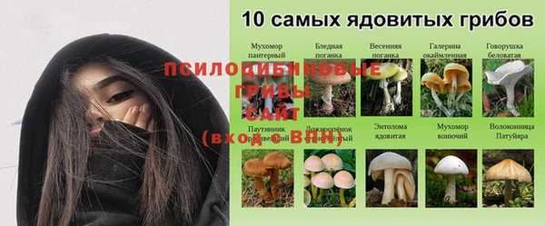 бутират Белокуриха
