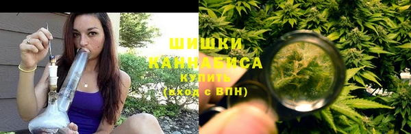 ГАЛЛЮЦИНОГЕННЫЕ ГРИБЫ Белоозёрский