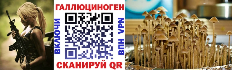 Псилоцибиновые грибы GOLDEN TEACHER как найти наркотики Красный Кут